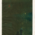 20110316102940-smnightlights