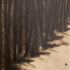 20110317154426-ss4-48x48-135000