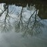 20110318064633-003