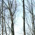 20110318070421-023