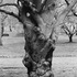 20110318120221-evans14-r1-e039