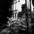 20110318120552-evans14-r1-e014