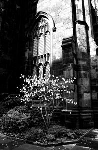 20110318120552-evans14-r1-e014