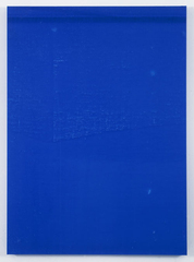 ,Wade Guyton