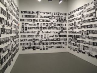 installation View,