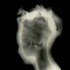 20110319162721-dm