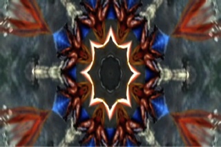 17 Symmetries ,PREMA MURTHY