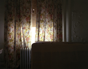 20110320085318-16__linka_a_odom_bullet_hole