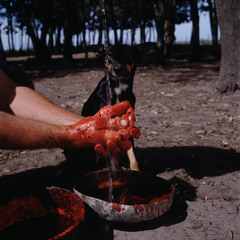 Untitled, From On the Sixth Day,Alessandra Sanguinetti