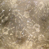 20110320181346-the_touch_of_war__for_libya_-_filtr1000x