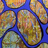 20110321092601-hokey_pokey