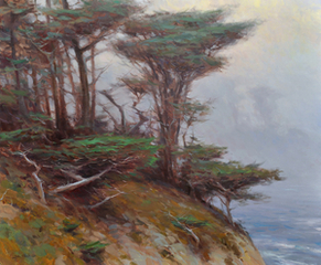 Cypress and Fog, Point Lobos,Jesse Powell