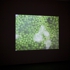 Peas_still_email