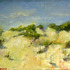 20110321164536-beach_fluff_4x6_oil-board_r