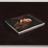 20110408031248-russell_107_rembrandt_hires