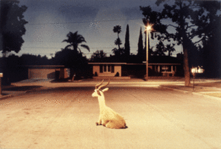 Untitled,Carrie Lincourt
