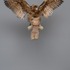 20110322095841-2aktaion25web