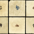20110322130451-drawings