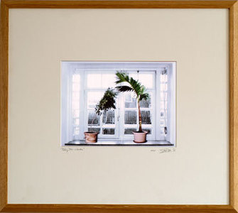 Gve_talking-trees-window-a