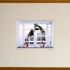 Gve_talking-trees-window-a