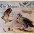 20110323102057-falcon_document_in_progress