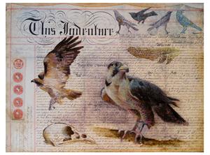 20110323102057-falcon_document_in_progress