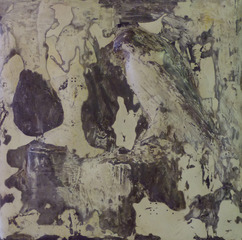 Rough Hawk,Jane Rosen