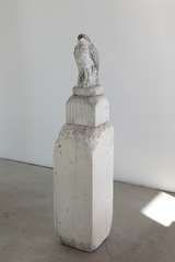 Sparrow Hawk,Jane Rosen