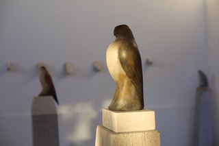 Turtle Bird Scotty,Jane Rosen