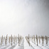 20110323140527-edgington_futuregrove