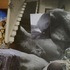 20110323153140-o_reillydoghang12