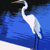20110323162429-egret_on_blue1-16x20