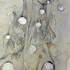 Valuables_detail