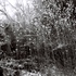 20110324050753-evans45-r1-e006
