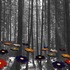 20110324093139-for_all__day_and_night__night_and_day__i__76x213cm__i__2009