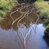 20110325080925-rbgfrombridge005