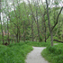20110325103513-forgmail_alienbeauty