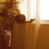 20110325140231-sta_3536