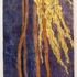 R_edwards02