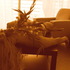 20110325140712-sta_3543