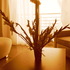 20110325140748-sta_3544