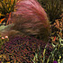 20110325151030-botanical__1a