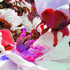 20110325151341-botanical__20a