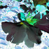 20110325151428-botanical__32a