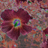 20110325151517-botanical__33a