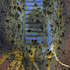 20110326095051-morse-ce_sopoty75