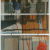 20110326095915-familytree1