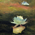 20110326140416-water_flutter__1