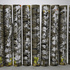 20110327114439-cardboard-boxes-for-awnings