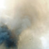 Griffith_park_1